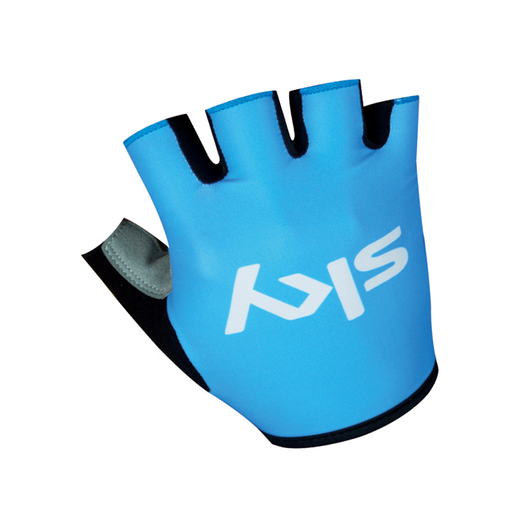 Handschoenen Scott 2016 blauw